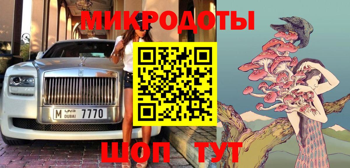 Галлюциногенные грибы Psilocybe Урюпинск